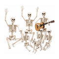 First Haunt: Rookhaven Skeleton 6 pack (3 x 5.4 ft + 3 x 3 ft)