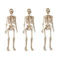 Three five foot poseable skeletons arranged on a lawn