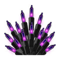 Wexford Phantom String Lights, studio packshot on white