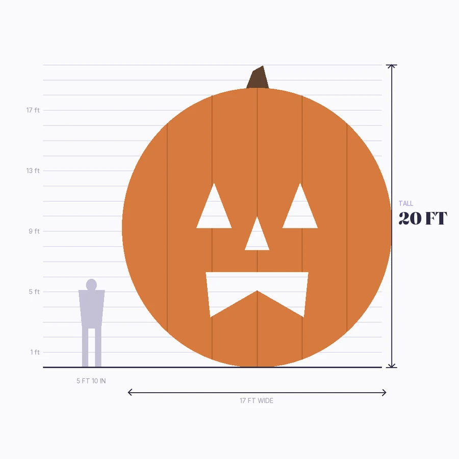 Scale diagram: the giant pumpkin measured 20 ft tall and 17 ft wide, beside a lilac human silhouette