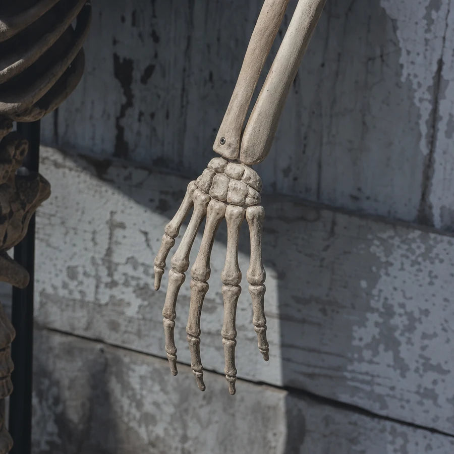 Close up of a posable bony hand and arm joint, angled by hand during setup